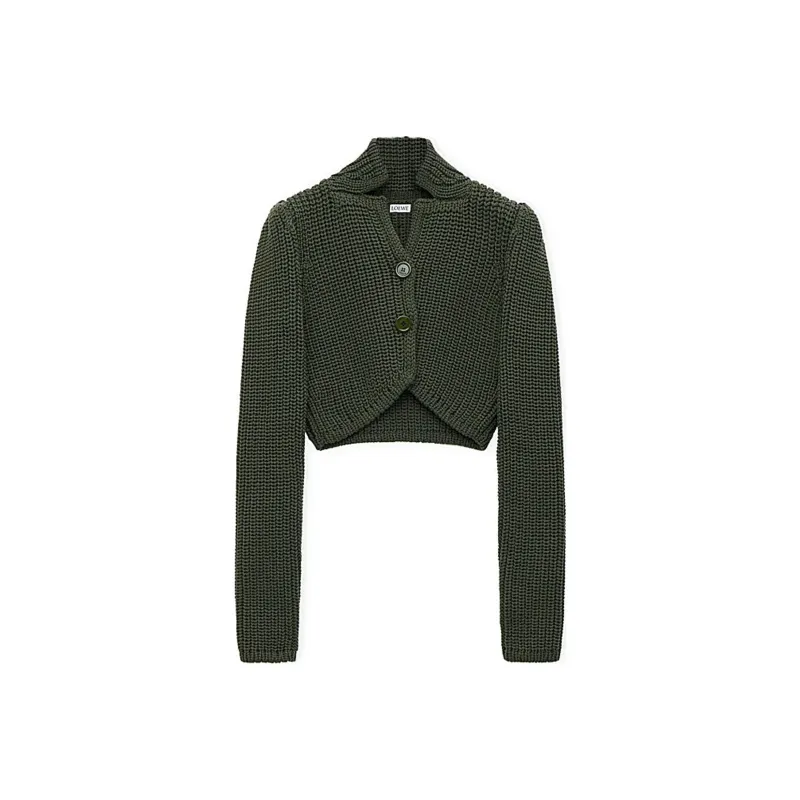 LOEWE FW24 Knitwear Women's Khaki Green-0