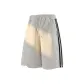 Light Gray 29