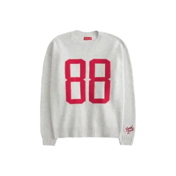 Hollister Snake Year Spring Collection Sweater Women's Light Gray