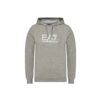 EMPORIO ARMANI Sweatshirt Women's Gray