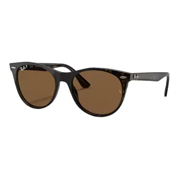 RayBan Wayfarer Ii Sunglasses