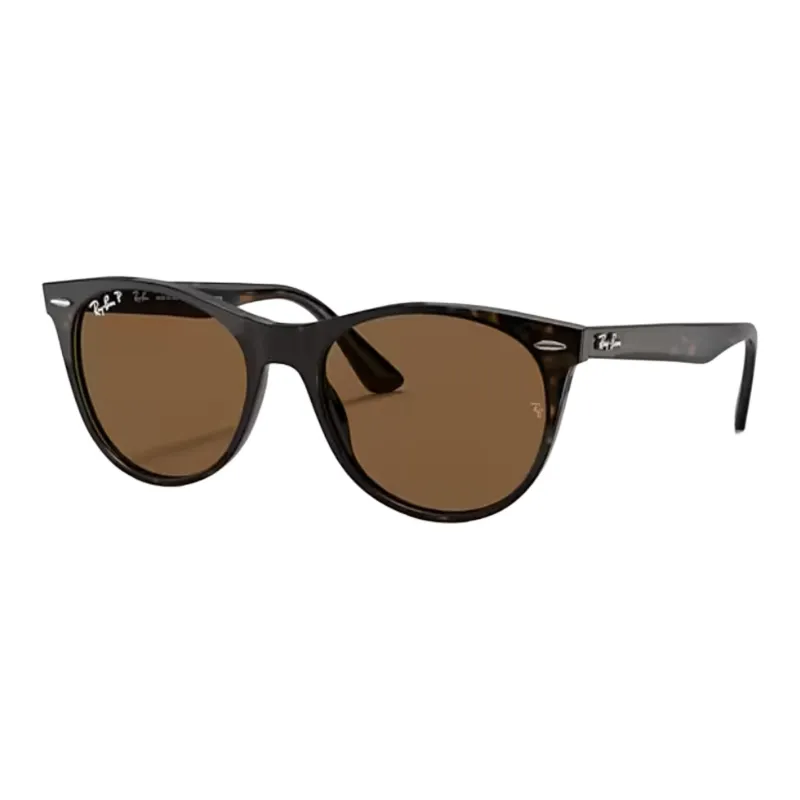 RayBan Wayfarer Ii Sunglasses-0