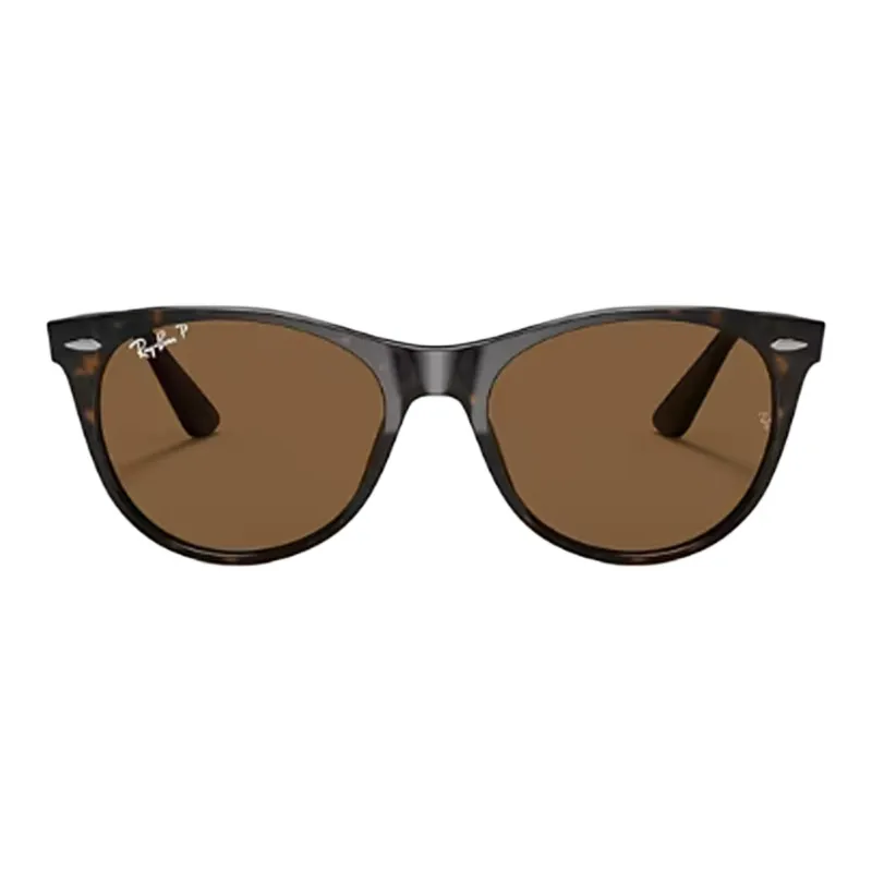 RayBan Wayfarer Ii Sunglasses-1