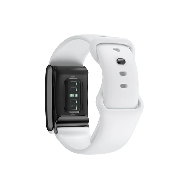 Antey Watch Band Whoop Compatibility 254mm Silicone, Zinc Alloy Material-1