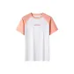 Clay Pink