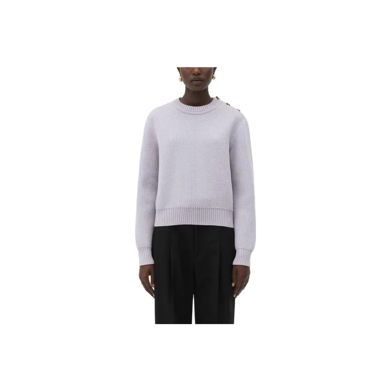 Bottega Veneta Sweaters Women's Light Purple-0