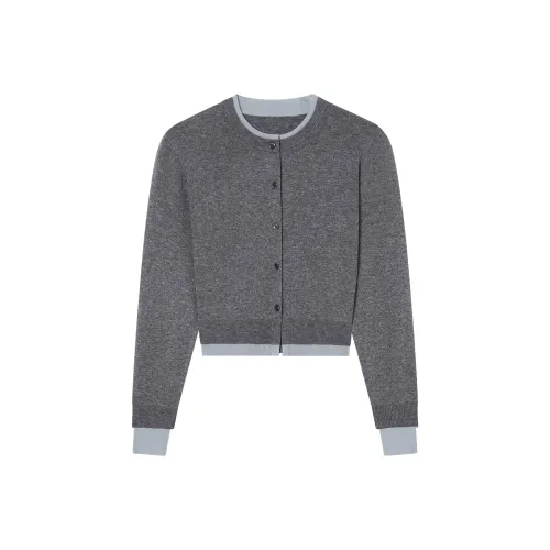 THE SEA LIFE Knitwear Women's Glacier Gray
