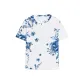 Blue/White