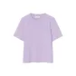 Purple Lilac