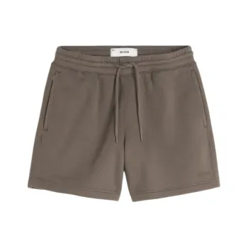 Hollister Casual Shorts Men's Brown