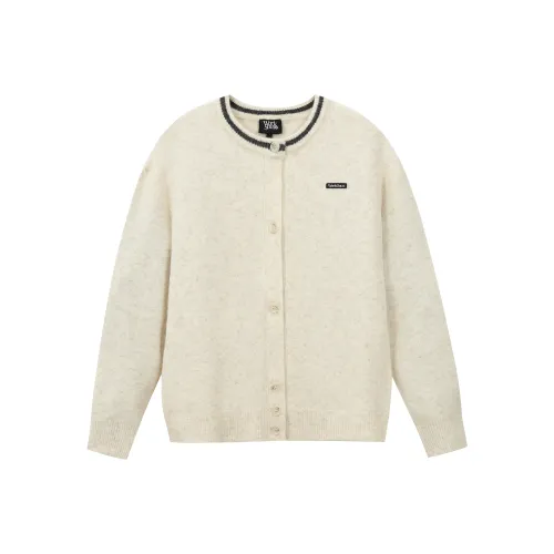CELINE Triomphe Crew Neck Sweater In Wool
