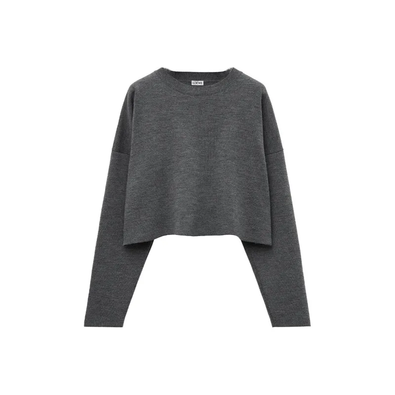 LOEWE SS25 Women's Pre Selection Collection Sweater Women's Dark Gray-0