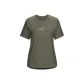 Dusty Green/Forage