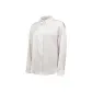 Beech White