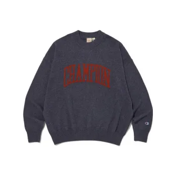 Champion Sweaters Women's Gray