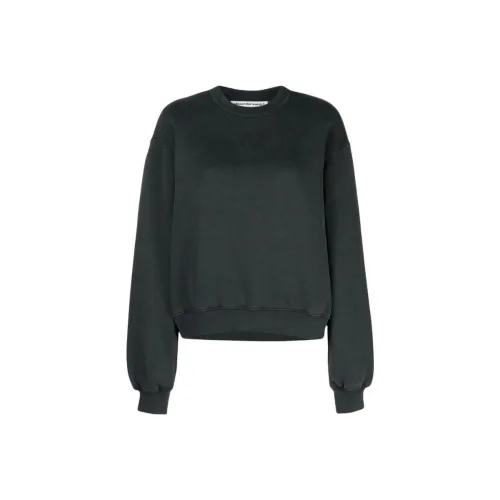 Alexander Wang Puff Paint Logo Essential Terry Crew Sweatshirt Soft Obsidian