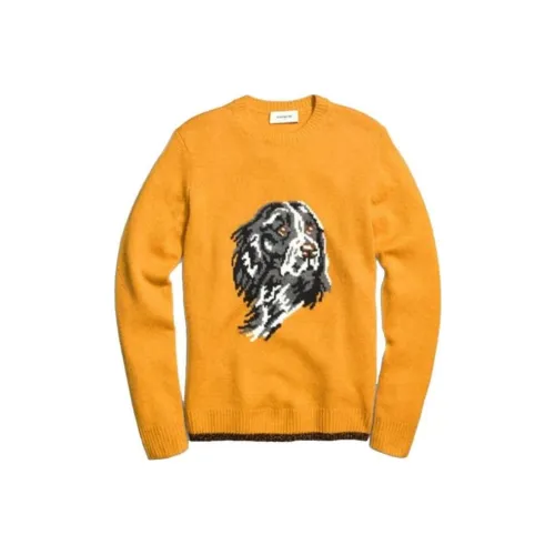 COACH Sweaters Women's Yellow