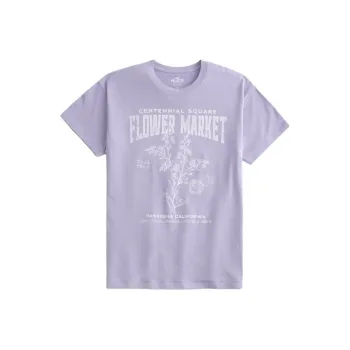 Hollister Drop Shoulder Sleeve T-Shirt Women's Light Purple