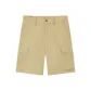 Light Khaki