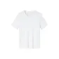 Papyrus White