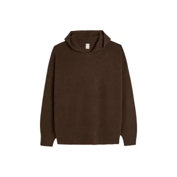 Hollister Sweater Women's Sophora Japonica Concentrated Coffee