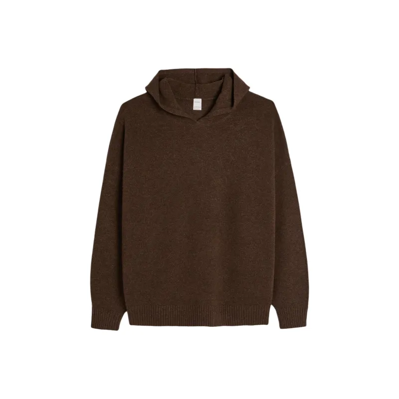 Hollister Sweater Women's Sophora Japonica Concentrated Coffee-0