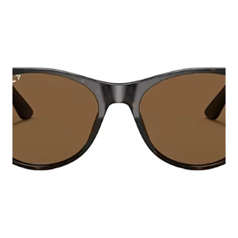 RayBan Wayfarer Ii Sunglasses-2
