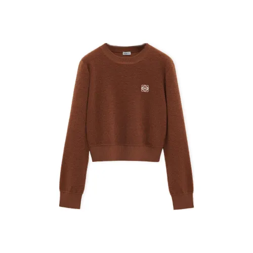 LOEWE SS25 Women's Pre Selection Collection Sweater Women's Brown