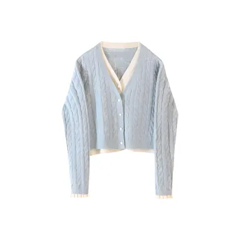 Alxnan Sweater Women's Light Blue