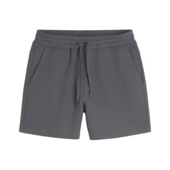 Hollister Casual Shorts Men's Dark Gray