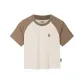 Light Smoke Gray/Coffee