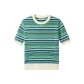 Green Stripes Multicolor