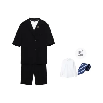 PIERRE CARDIN Business Suits Men's