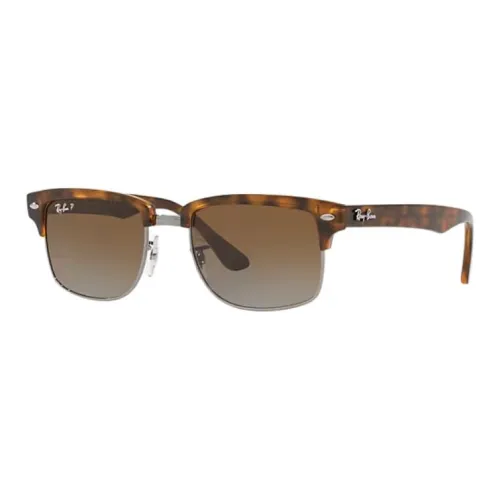 RayBan Propionate Salt Browline Sunglasses Unisex Tortoiseshell
