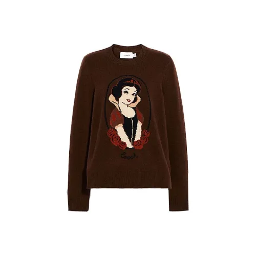 Disney X COACH Cashmere Sweaters Women's Brown