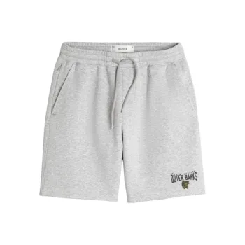 Hollister Casual Shorts Men's Gray