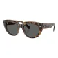 Tortoiseshell