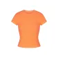 APRICOT/Apricot