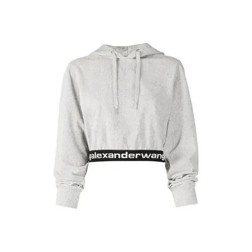 Alexander Wang Sweatshirt Women's Gray