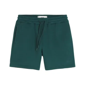 Hollister Casual Shorts Men's Dark Green