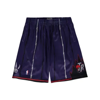 NBA x Mitchell & Ness Toronto Raptors Big & Tall Hardwood Classics Casual Shorts Men's Purple