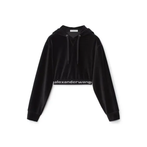 Alexander Wang Zip up Hoodie
