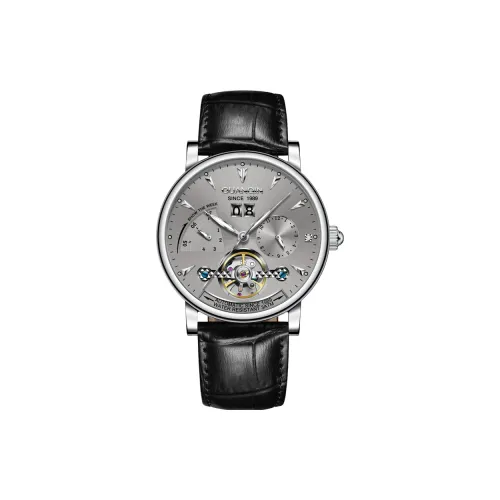 GUANQIN Collection Automatic Mechanical Movement Cow Leather Strap Watch Men's Watches Gray Dial