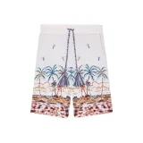 Prada Pre-Owned 1990s Shorts