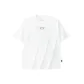 Ivory White