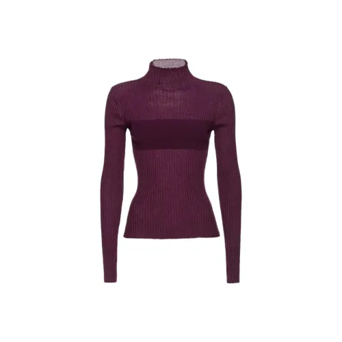 PINKO Dolcevita In Maglia A Costine Sweater Women's Purple