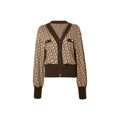 LOFT SHINE Knitwear Women's Brown