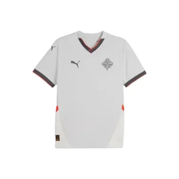PUMA Iceland 2024 Soccer Jerseys Men's Gray White - Warm Earth Tone