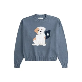 Hollister Sweaters Women's Blue