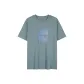 PFE-Blue Gray